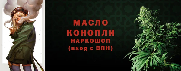 индика Лабытнанги