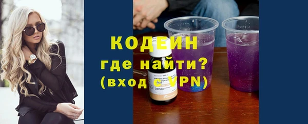 индика Лабытнанги