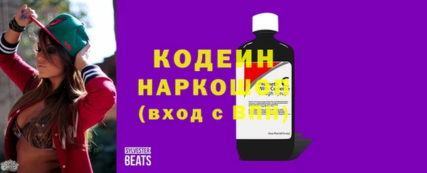 индика Лабытнанги