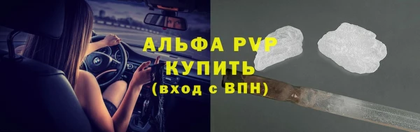 индика Лабытнанги