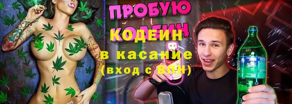 индика Лабытнанги