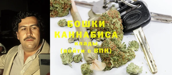индика Лабытнанги