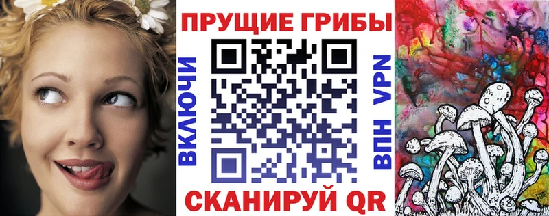 нарко площадка официальный сайт  кракен маркетплейс  Медвежьегорск  Псилоцибиновые грибы Magic Shrooms 